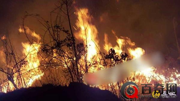 重庆山火烧五个小时被扑灭 火因疑为踏青用火不