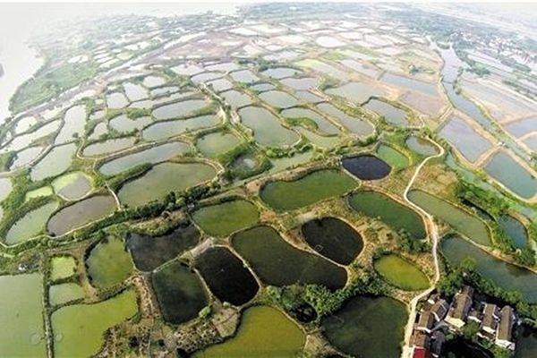 你的地方·实录｜成市之前：发掘上海前史