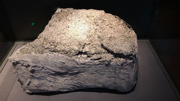 你的地方·实录｜成市之前：发掘上海前史