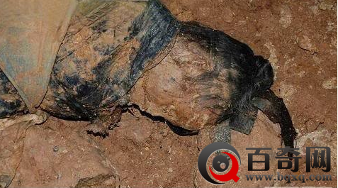 四川南充僵尸是真的吗 四川南充僵尸事件真相