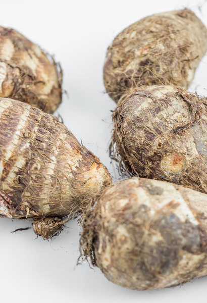 湖南邵阳发现酷似男性的人体何首乌(图)