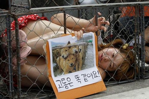 福建厦门一女子被囚南非卖淫两年 长期遭虐打艰难逃跑归国【图讯