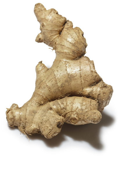 湖南邵阳发现酷似男性的人体何首乌(图)