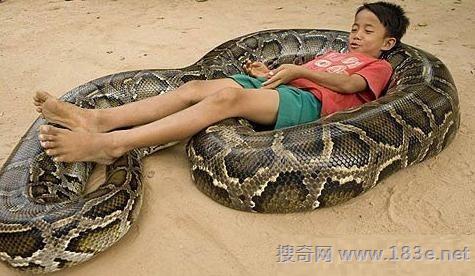 同居12年「人蛇恋」！男童爱上大6岁巨蟒陪吃睡