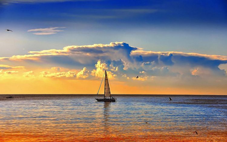 4月中旬，运势上行，4生肖，前脚旗开得胜，后脚桃花临门