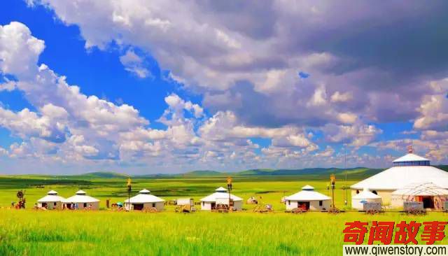 盛夏是时候去草原撒个欢了