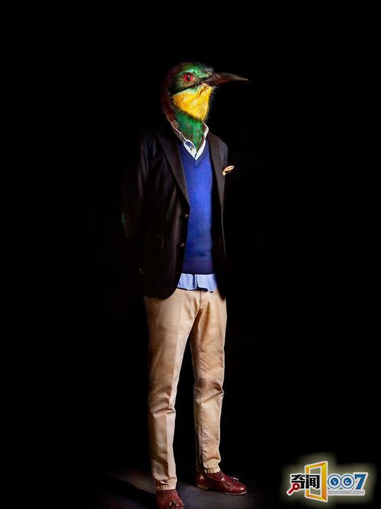 当动物穿上了时装，变成衣冠禽兽