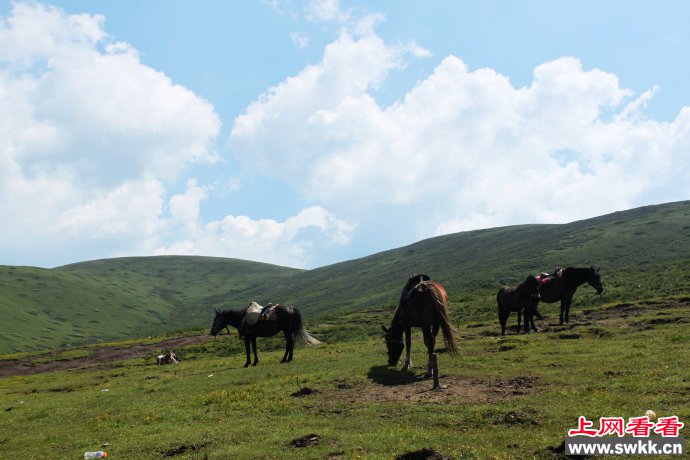 青山绿水察隅县位于什么地方_0