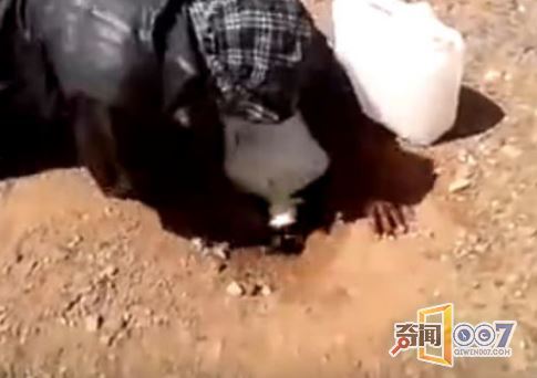 男子沙漠逃生水倒掉，随手一抓竟捕获奇物