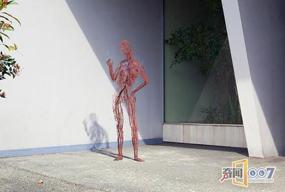 突出人体的脆弱性 假如只剩下血液循环系统