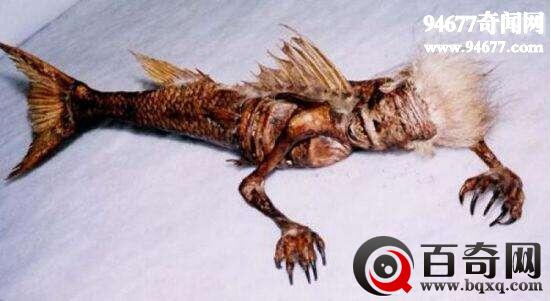 最真实的美人鱼图片，美人鱼真身恐怖吓人(嗜血怪物)