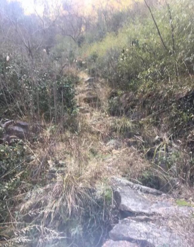 （真实）嵊州解密鬼打墙