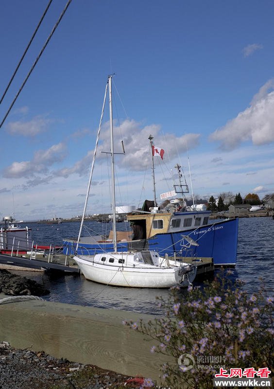 从加拿大到中国33小时图揭一龙虾跨国旅程 图_0