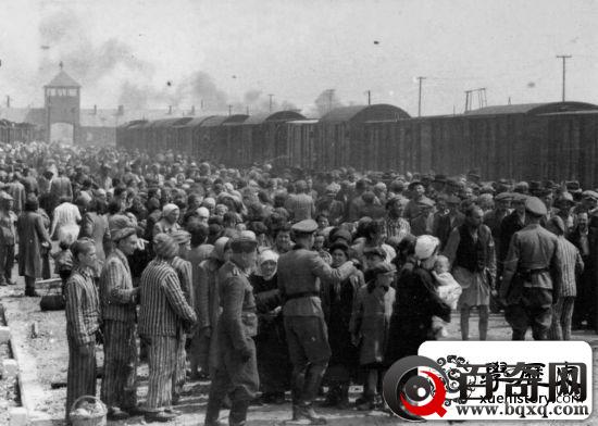 这几张二战的老照片，让你直视纳粹的暴行