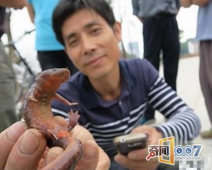 男子意外捕获怪鱼竟是“中国火龙”