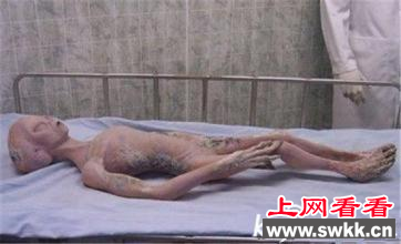 美国51区外星人惊悚真相曝光