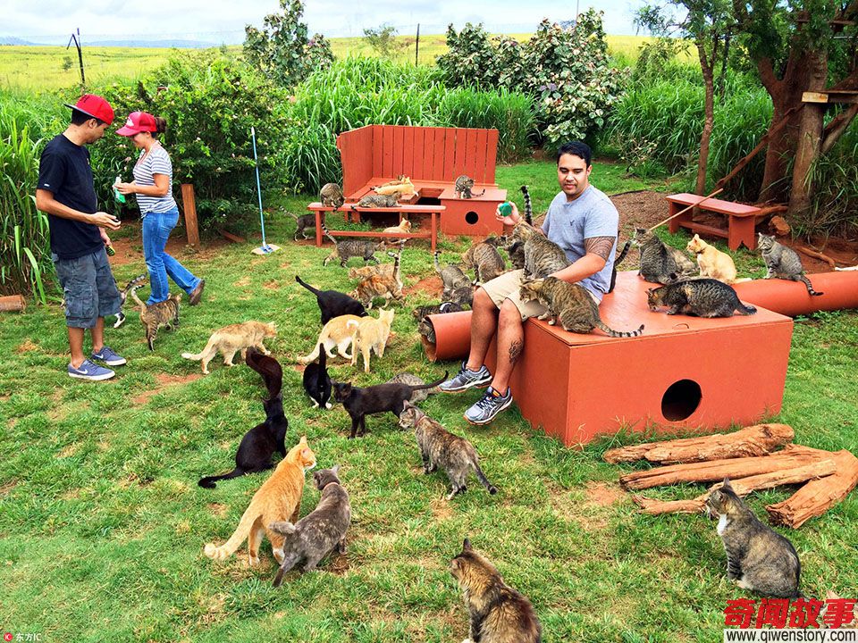 全世界8个已经被动物完全占领的小岛