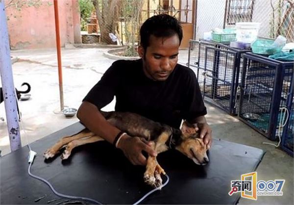 男子发现路上躺只流浪狗，本想路过却因它的动作心软了