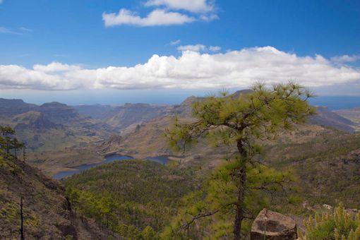 瓜岛为何被称为太平洋上的地狱小岛-