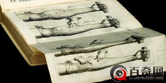 关于人体的奇迹：血管可绕地球三圈？