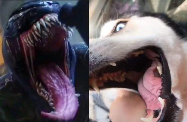 5天9亿票房，今年他最爆，网友：2018最佳男友无疑