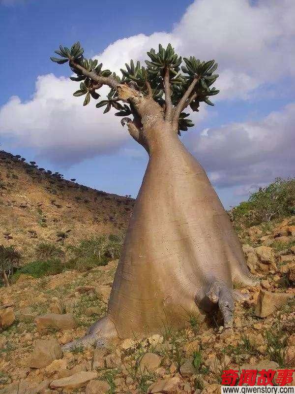 地球惊现“外星岛”堪称外星世界