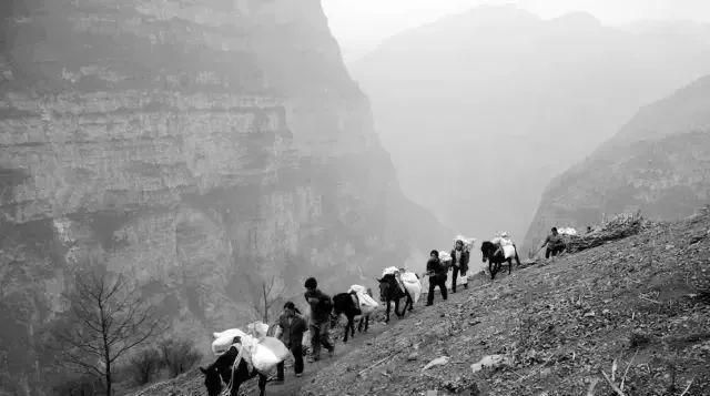 南诏曾屡次侵扰大唐边境，为何大理和宋朝却一直相安无事