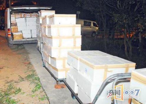 交警跟随可疑车辆，得知运输的货物后将司机抓获