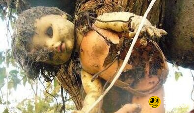 墨西哥娃娃岛丢弃的娃娃