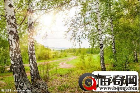 古人将春雅称为&ldquo;青春&rdquo; 意指春天草木茂盛一派青葱