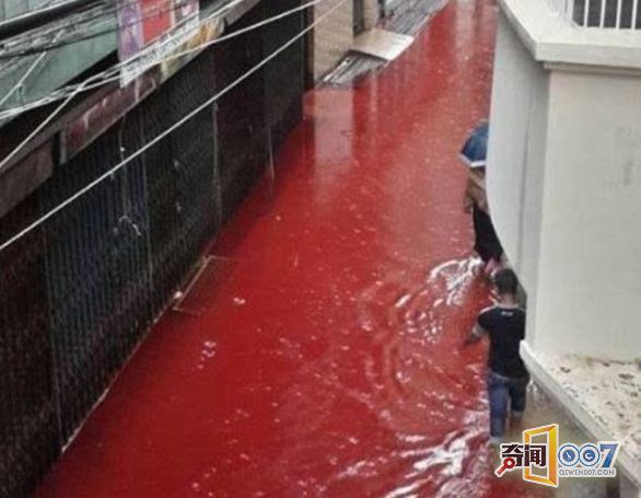 孟加拉首都宰牲节过后造成大街小巷血流成河