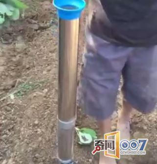 男子发明自动种菜机，效率成倍提升令人羡慕