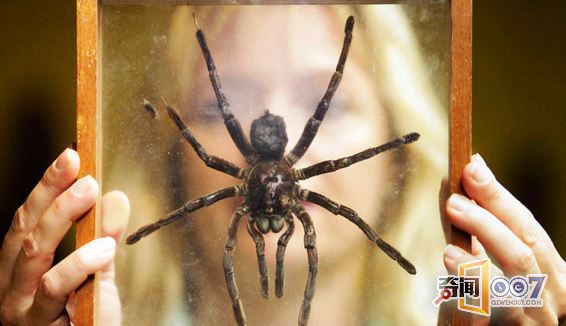 检查人员带汪星人查这个，引围观，成为一道风景