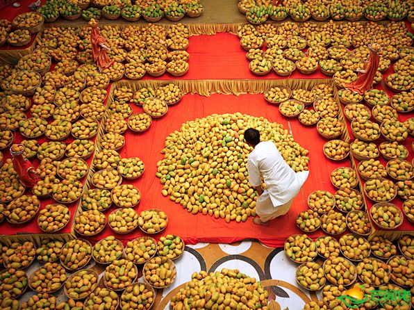 有关印度的15个事实，跟你想象中的差别有多大？