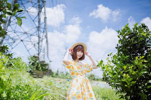 2019年开门遇喜，事业爱情会双丰收的星座