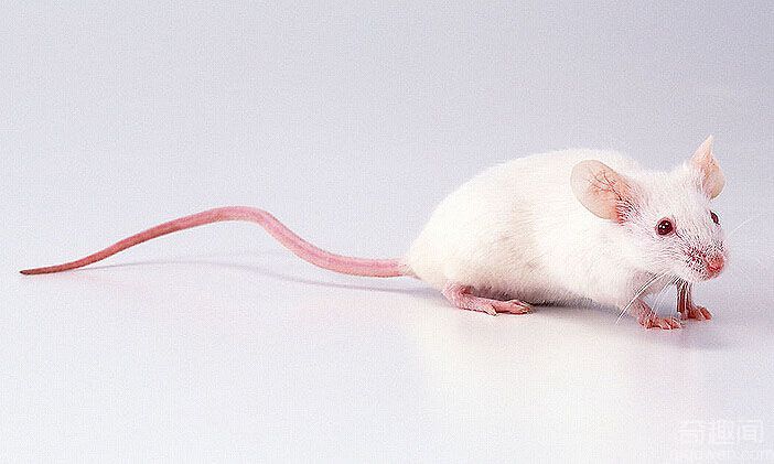 科学家他们已经发现第六感