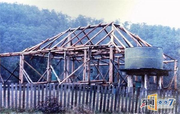 女子森林独居34年,花8年自建房,用牛粪糊墙