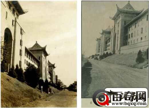 弱国无外交，当年此大学原本要种梅花，日军少将却使樱花占据校园