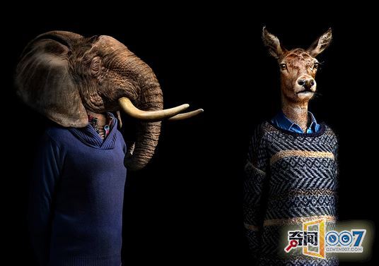 当动物穿上了时装，变成衣冠禽兽