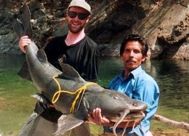 只对人肉有兴趣的凶残食人鱼类