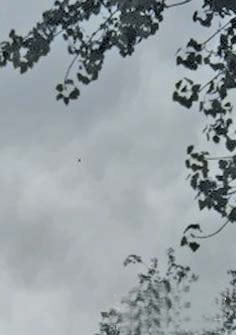 济南市民称拍到“UFO”感觉很震撼 黑色不明飞行物
