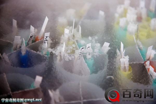 甯︿綘鍙傝涓栫晫涓婃渶澶х殑绮惧瓙閾惰-Cryos鍏徃(鍥-