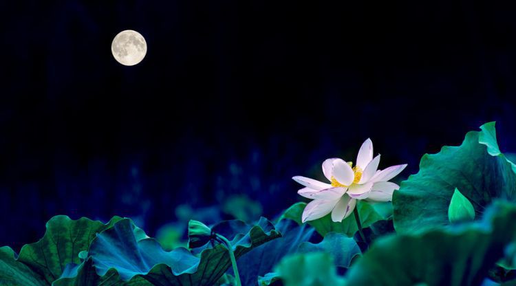 4月中旬，运势上行，4生肖，前脚旗开得胜，后脚桃花临门