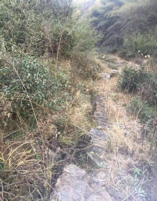 （真实）嵊州解密鬼打墙