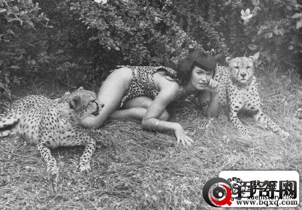 老照片里的豹纹美女