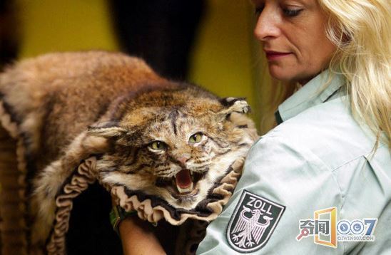 检查人员带汪星人查这个，引围观，成为一道风景