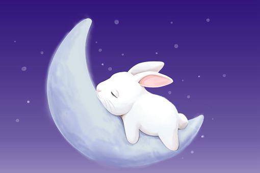 十二生肖属兔的历史传说是什么-