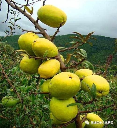 李白宣城诗文巡礼(上)