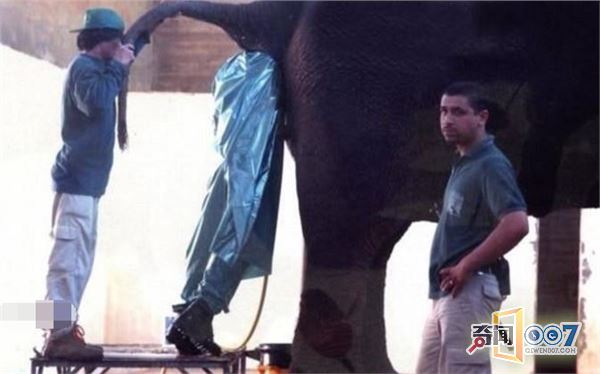 世界各地奇葩工作，有人扮猴子吓唬猴子