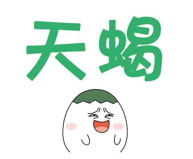 天蝎座，你的爱情呢？